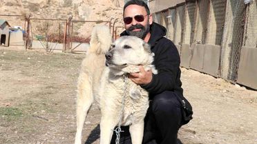 Kangal ve Sibirya Kurdunun Barış Mesajı