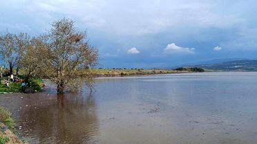 Manisa'da Barajlar Doldu, Çiftçiler Güldü