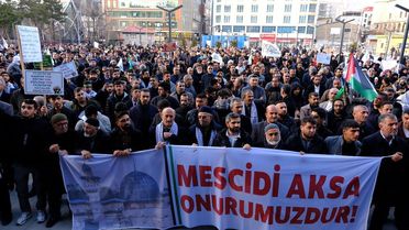 Van'da Filistin'e Destek Yürüyüşü