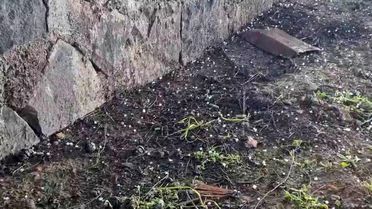 Gaziantep'te Dolu Yağışı Ekinlere Zarar Verdi