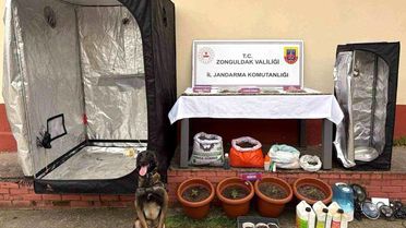 Zonguldak'ta Uyuşturucu Operasyonu: 3 Gözaltı, 2 Tutuklama