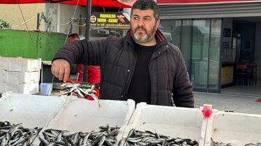 Zonguldak'ta İstavrit Bereketi