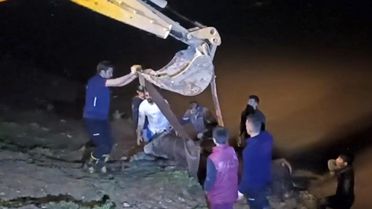 Dicle Nehri'ne düşen ineği itfaiye iş makinesiyle kurtardı