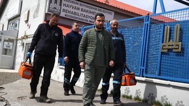 Erzurum'da Sahipsiz Hayvan Sorununa Çözüm