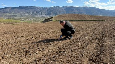 Akıncılar'da Nohut Ekimi Başladı