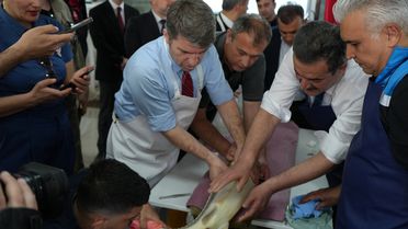 Amasya'da Mersin Balığı Üretimi Artıyor