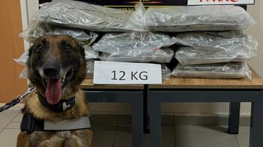 Düzce'de Minibüste 12 Kilogram Uyuşturucu Ele Geçirildi