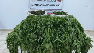 Serik'te Uyuşturucu Operasyonu: 1 Tutuklama