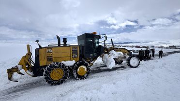Ardahan'da Veterinerler Zorlu Kış Şartlarında Görevde