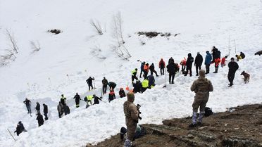 Ardanuç'ta Çığ Altında Kalan Çoban Aranıyor