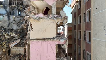 Mahsur Kedi 10 Gün Sonra Kurtarıldı