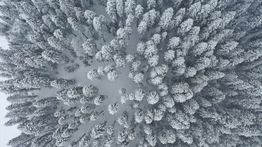 Ilgaz Dağı'nda Bahar Manzarası