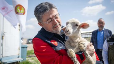 Küçükbaş Hayvancılığa Destek Projesi Başlatıldı