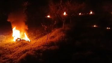 Bolu'da Meyve Üreticileri Don Nöbeti Tutuyor