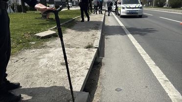 Bolu'da Yaya Cipin Çarpmasıyla Ağır Yaralandı