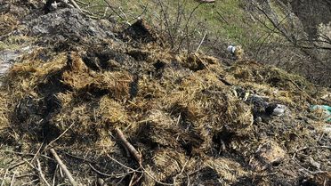 Bolu'da Otluk Alanda Yangın Söndürüldü