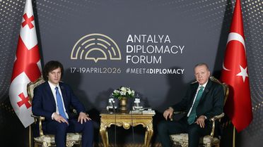 Cumhurbaşkanı Erdoğan, Gürcistan Başbakanı Kobakhidze ile bir araya geldi