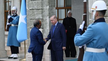 Cumhurbaşkanı Erdoğan, Somali Cumhurbaşkanı Mahmud ile görüştü