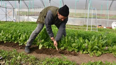 Sera ile Aile Geçimini Sağlıyor