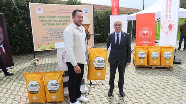 Edirne'de Ayçiçeği Tohumu Desteği
