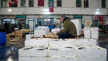 Ege'de Balıkçılar Sezonu Bereketli Geçirdi