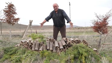 71 Yaşındaki Adamın Yeşil Mirası