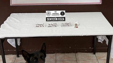 Erzincan'da DEAŞ ve Uyuşturucu Operasyonları