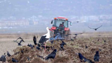 Erzincan'da Üreticilere Zirai Don Uyarısı