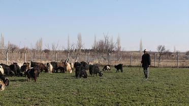 Eski Hükümlüye Devlet Desteğiyle Yeni Hayat