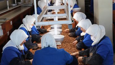 Kadınlar Fındık İhracatında Öne Çıkıyor