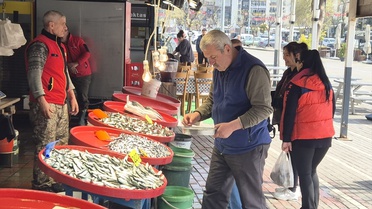 Balıkçılar Düşük Fiyatlardan Şikayetçi
