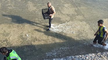 Haberi duyan balık toplamaya koştu