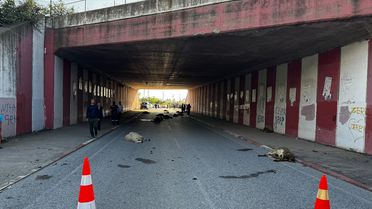 Dörtyol'da Trafik Kazası: 17 Koyun Telef Oldu