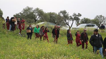 Hatay'da Yaralı 10 Kuş Doğaya Salındı