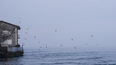 İstanbul'da sabah saatlerinde sis etkili oluyor