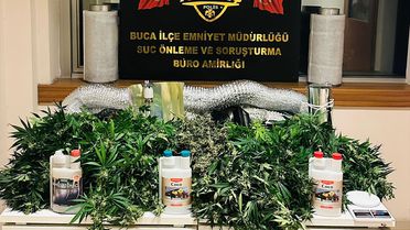 Buca'da Uyuşturucu Yetiştiren İki Şüpheli Gözaltında