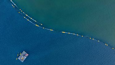 İzmit Körfezi'nde Ekolojik Temizlik