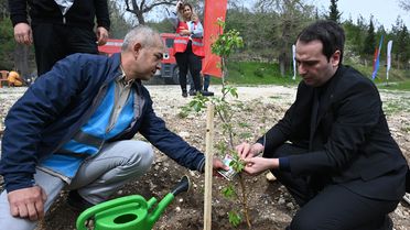 Kadirli'de 'Adalet Ormanı' Fidan Dikimi