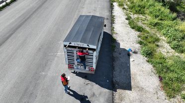 Kargı'da Bayram Öncesi Hayvan Taşıma Denetimi