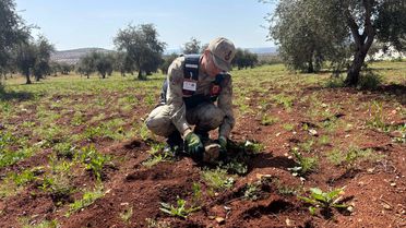 Yaralı Kızıl Şahin Koruma Altına Alındı