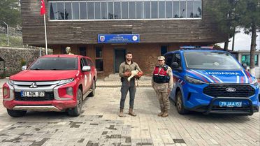 Yaralı Leylek Koruma Altında