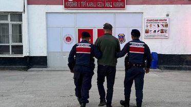 Sahipsiz Köpeği Vuran Şüpheli Tutuklandı