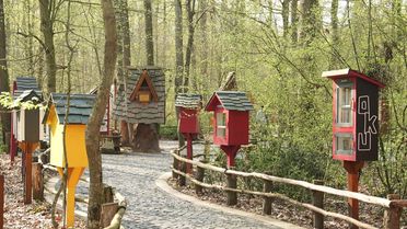 Ormanya'da Kitap Keyfi