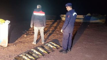 Konya'da Av Yasağına İhlal!