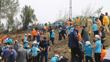 Kozan'da 1500 Fidan Dikimi