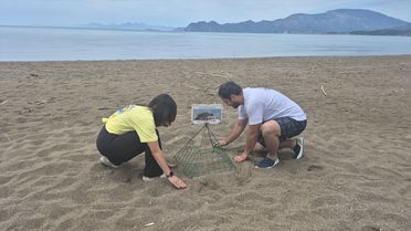 İztuzu'nda Caretta Caretta Üreme Dönemi Hazırlıkları Tamamlandı
