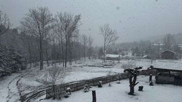 Niksar'da Nisan Ayında Kar Yağışı