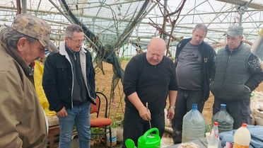 Pazaryeri'nde Yeni Tütün Denemeleri Başladı