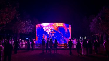 Cape Town'da Işık Sanatı Festivali: Lumenocity