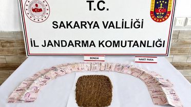 Karasu'da Uyuşturucu Operasyonu: 1 Tutuklama